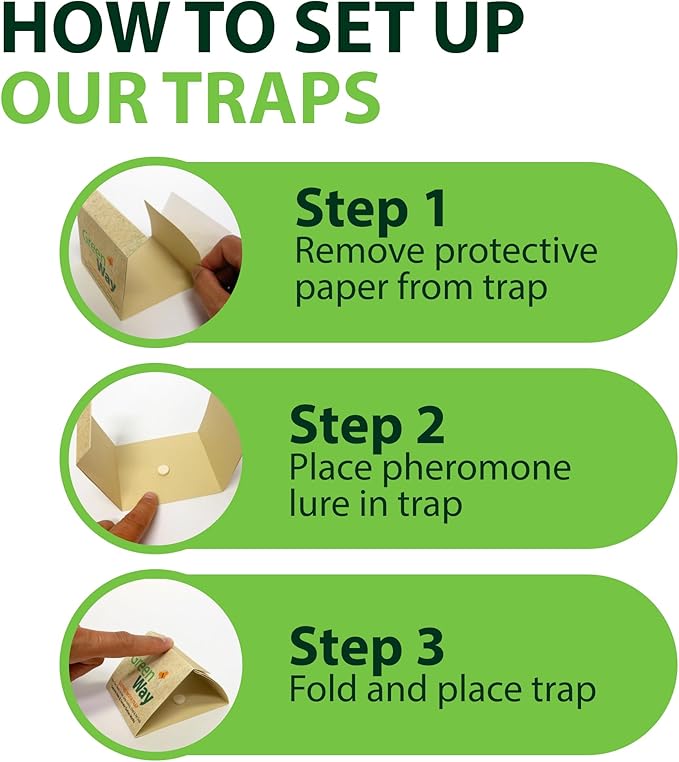 Greenway Silverfish and Spider Traps, Non-Toxic Indoor with High-Strength Glue for Safe, Effective Home Protection, 2 Packs (Includes 12 Traps)