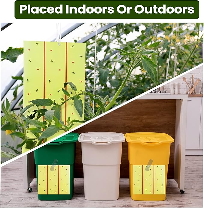 Qualirey Giant Sticky Fly Traps, Fly Strips for Indoor Outdoor Hanging Flying Tapes Non Toxic Ribbon Fruit Gnat Killer for Mosquito Plants House Horse Stable(30 ft,Yellow,2 Pcs)
