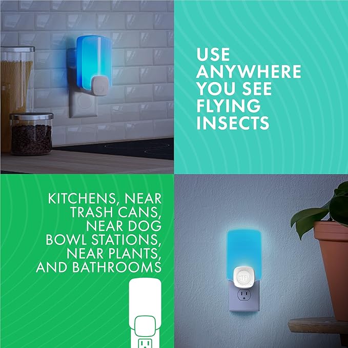 STEM Flying Insect Trap - Indoor Fruit Fly & Gnat Catcher for Home, Kitchen & Any Room, Attracts & Traps Bugs, Soft Blue UV Light - Includes 2 Plug-in Devices & 2 Cartridges (Pack of 2)