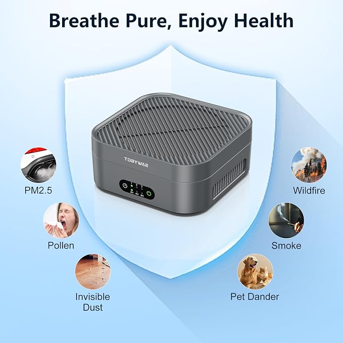 Air Purifiers for Home 600 Sq.Ft, TDBYWAE H13 True HEPA Air Purifier with USB Cable for Pets Dust Dander Pollen Odor Smoke, Small Portable Air Purifier for Bedroom Office Desktop Car RV (Grey)