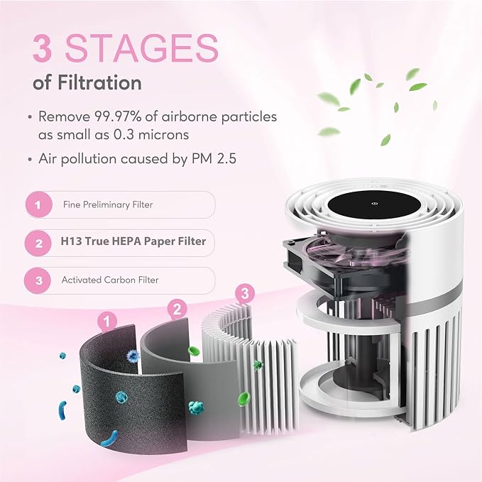 MEGAWISE Office Air Purifier (Desktop Purifier)