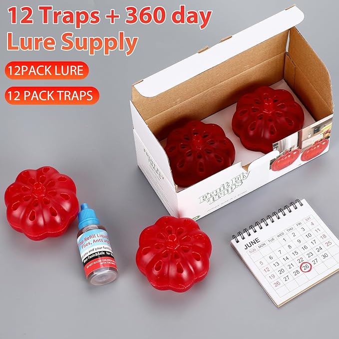 12 Pack Fruit Fly Traps Bulk for Indoors 540 Days Lure and Refills Supply Reusable Gnat Traps for House Indoor Fruit Fly Killer Safe Food Lure Ready to Use for Home Kitchen Countertop(Clear)