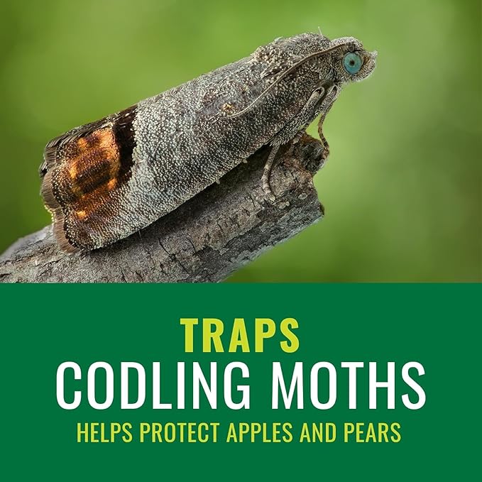 NATRIA Codling Moth Pheromone Trap, Ready-to-Use, (1-Pack) with BioAdvanced Termite Killer Granules for Insects, Granules, 9 lb