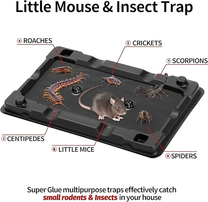 LULUCATCH Mouse & Insect Traps 36 Pack, Heavier Sticky Traps with Non-Toxic Glue for Small Mice & Insects. Sticky Mouse Traps Indoor for Home, Easy to Set