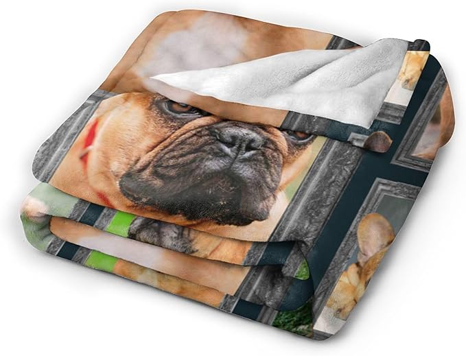 French Bulldog Gifts & Decor: Cute Dog Throw Blanket - Soft, Warm, Cozy Fleece for Couch, Sofa, Bed - 60"x50"