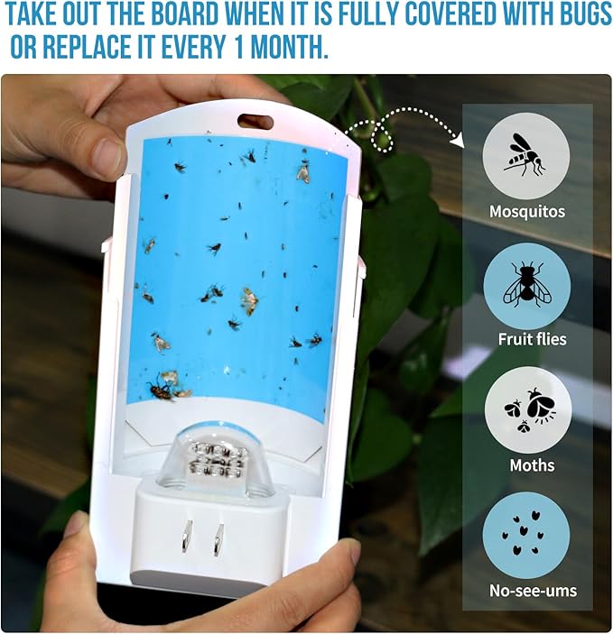 OSVDO 2-Pack Indoor Flying Insect Traps with 8 Refills, UV Light Bug Catcher for Flies, Gnats, Moths, 30-Day Sticky Pads, Silent Fly Catcher for Home