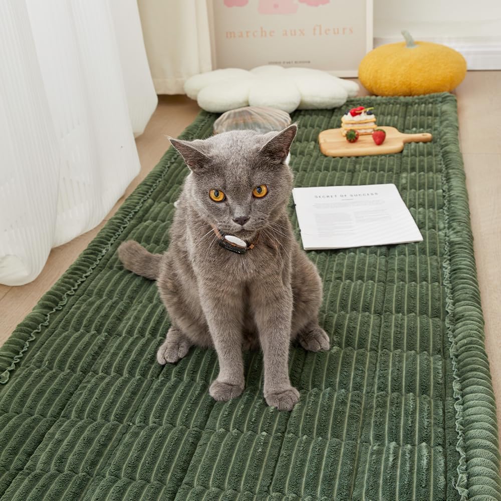 Couch Cover for Dogs Washable, Fuzzy Pet Couch Covers for 3 Cushion Sofa Pet Friendly, Non Slip Sofa Cover (Green, 27.6" x 59"/70 x 150cm)