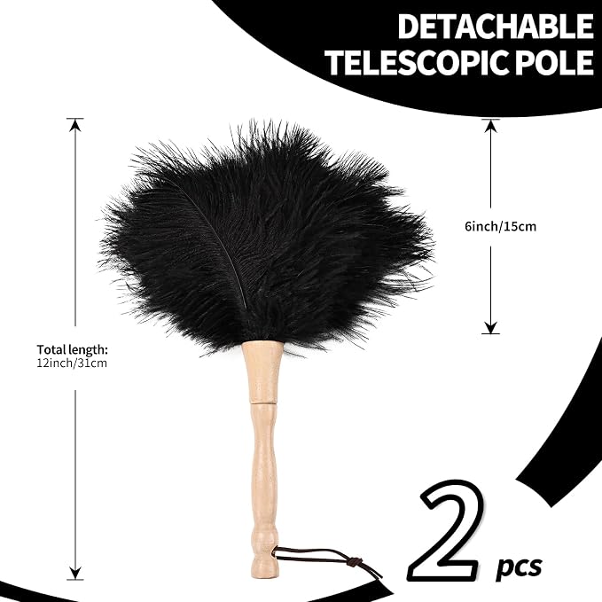 Ostrich Feather Duster 12 Inch Handheld Duster Supplies, Wooden Handle Feather Duster for Cleaning Keyboard Home Car Office (Black 2Pcs)