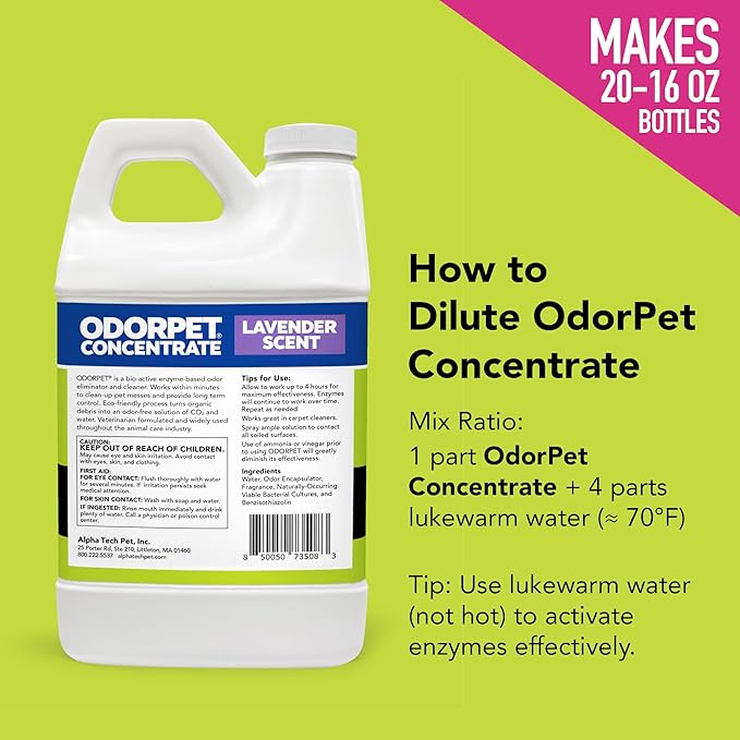 OdorPet Pet Stain Remover and Odor Eliminator - 64 Oz (Makes 2.55 Gallons of Working Solution) Non Staining, Professional Strength, Lavender Scent by Alpha Tech Pet