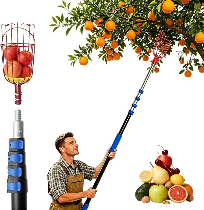 26FT Reach Fruit Picker Pole with Basket Telescoping, 5-20FT Extendable Aluminum Apple Picker for Picking Avocados, Figs, Mangoes, Citrus Fruits - Durable Harvesting Fruit Catcher for Trees