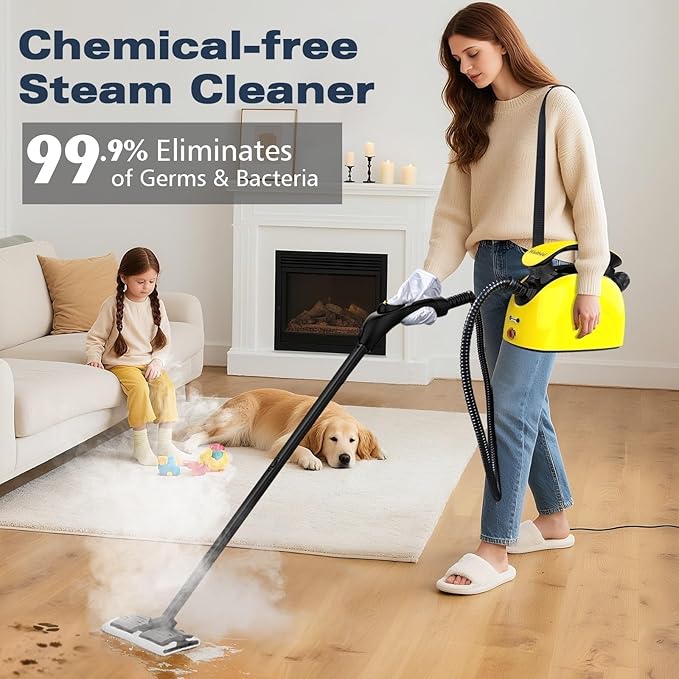 Waitbird Steam Cleaner, Steam Cleaner For Home, Handheld Steamer For Cleaning With 21 Accessories,248 °F High Temperature,Suitable for Grout,Floor,Sofas,Upholstery,Window,Carpet