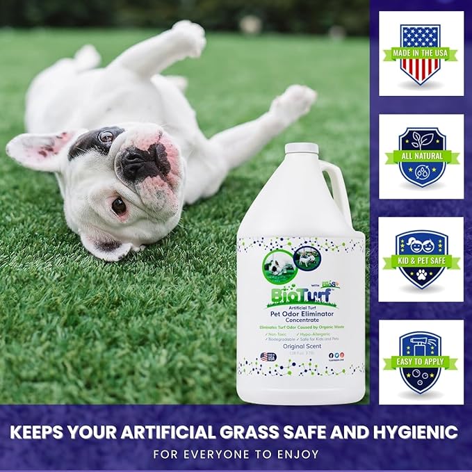 BioTurf BioS+ Kit Turf Cleaner for Pet Urine Outdoor – Artificial Turf Cleaner Concentrate Yard Deodorizer for Dog Urine & Feces – Enzyme Kennel Odor Eliminator 1 Gallon, 32oz with Hose Attachment