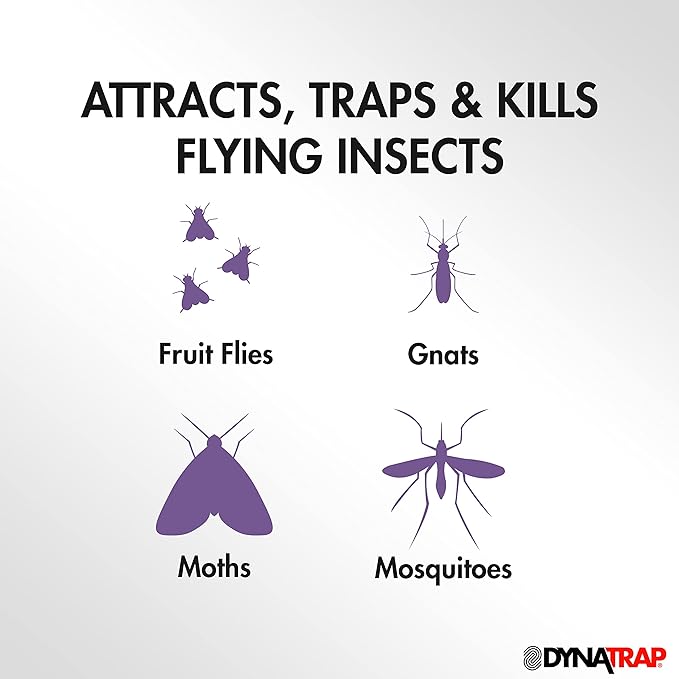 DynaTrap DT152 Indoor Insect Trap and Killer – Catches and Kills Fruit Flies, Gnats, Moths & 230093 Replacement StickyTech Glue Cards for Flylight Indoor Plug-in Fly and Flying Insects