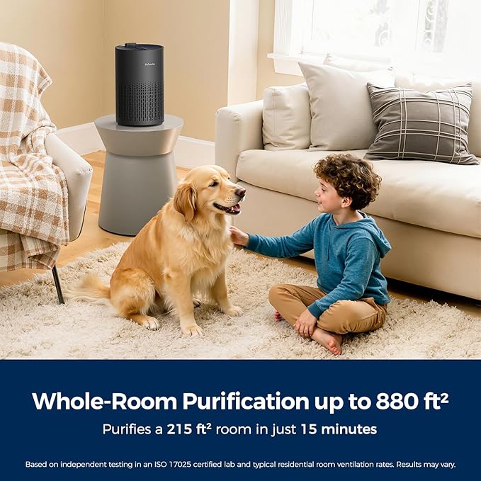Purivortex PX500 Air Purifier with Fragrance Sponge (Black) + Pet Care HEPA Filter Bundle