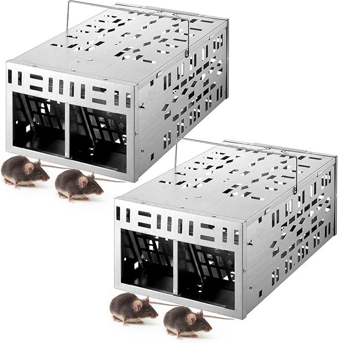 Qualirey 2 Pack Rat Trap Humane Mouse Trap with Double Opening One Way Door Design Automatic Continuous Cycle Live Mouse No Kill for Indoor and Outdoor Capturing or Releasing Rodents