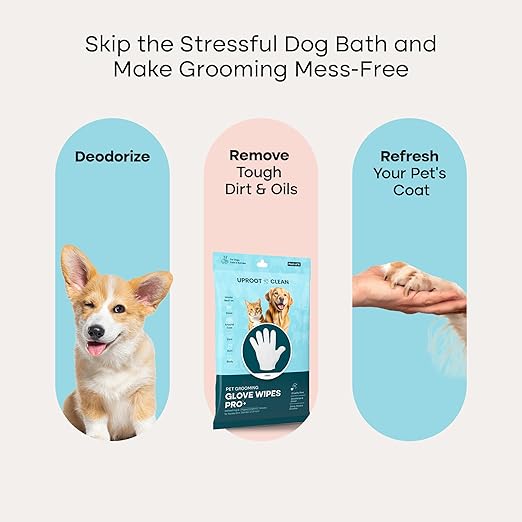 Uproot Cleaner Pro Pet Hair Remover + Clean Glove Wipes Pro (6 Pack) Set: The Ultimate Pet Hair Removal Tool for Non-Knit Surfaces & Extra-Thick Dog & Cat Wipes for Paws, Eyes, Ears, Butt & Body