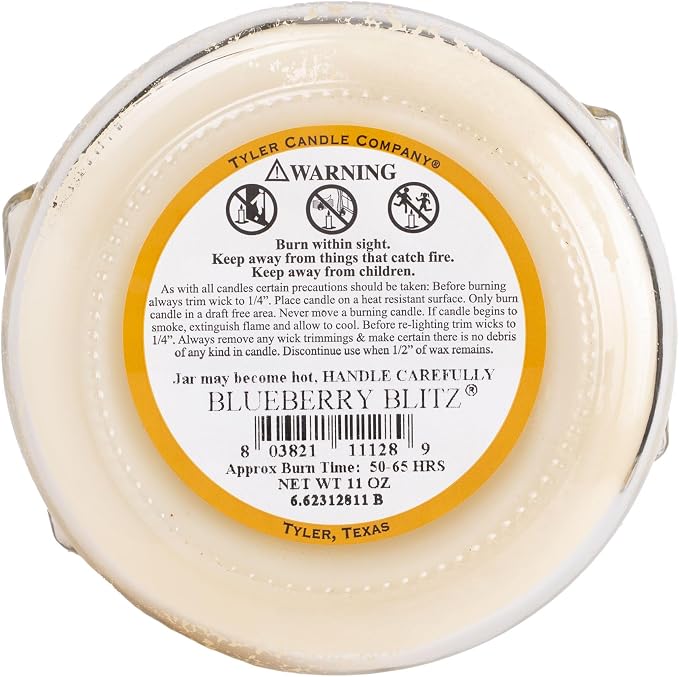 Tyler Candle Company 11128 Blueberry Blitz 11 Ounce Scented Jar Candle for Home or Office, Pack of 2
