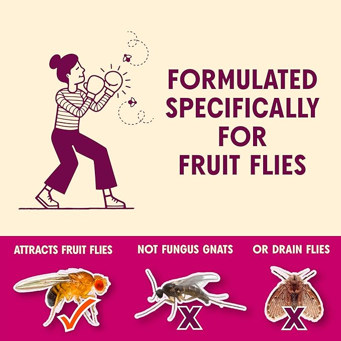 Aunt Fannie's FlyPunch Fruit Fly Trap for Indoor and Kitchen Use, Ready to Use, Made with Plant Based Ingredients, Safe Near Food, Each Bottle Lasts Up to 30 Days, Pack of 12