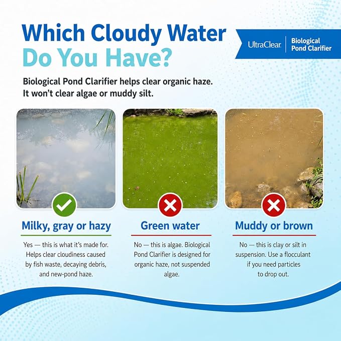 Pond Clarifier for Outdoor Ponds - Concentrated Live Beneficial Bacteria - Treats up to 80,000 Gallons - Clears Cloudy Pond Water - Safe for Fish, Plants, Pets and People