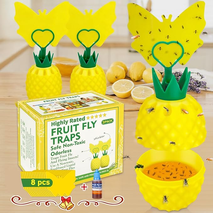 Fruit Fly Trap for Indoors, Effective Fruit Fly Catcher Gnat Killer with Sticker, Gnat Traps for House Indoor with Bait, Non-Toxic Reusable Easy to Use Fly Trap for Kitchen Home - 2 Pack