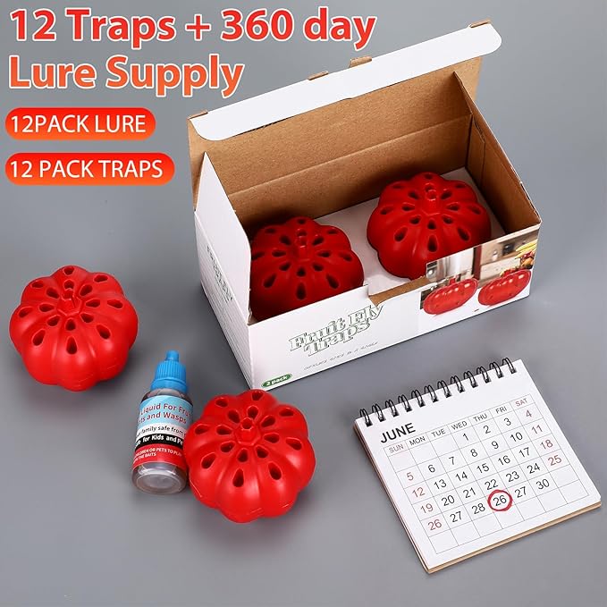 12 Pack Fruit Fly Traps Bulk for Indoors 540 Days Lure and Refills Supply Reusable Gnat Traps for House Indoor Fruit Fly Killer Safe Food Lure Ready to Use for Home Kitchen Countertop(Frosted)