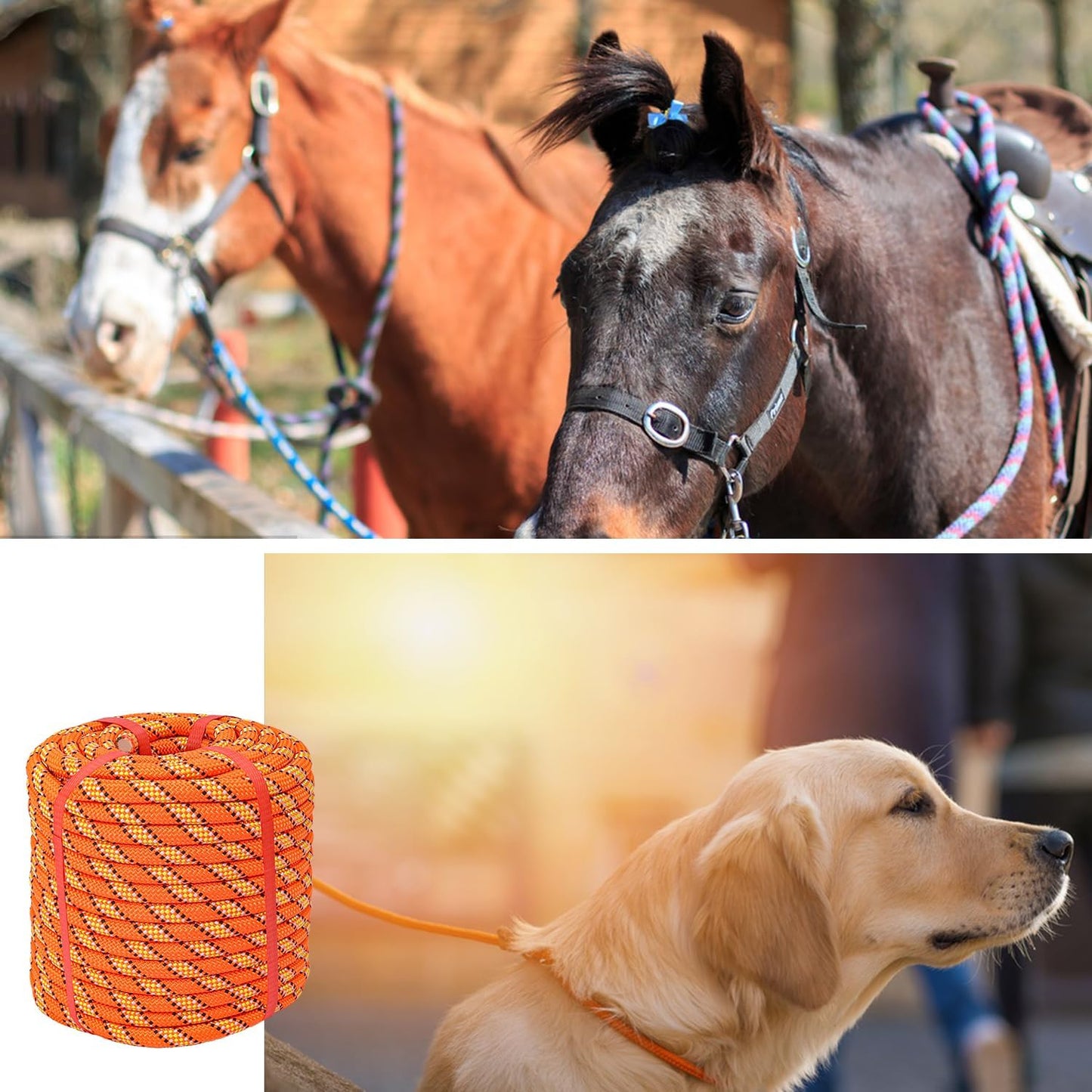 1/2 Inch 100 FT Tree Felling Rope, Professional Static Rope, Orange Versatile Arborist Logging Ropes for Tree Pulling, Bull Pulling, Sturdy Ropes for Adults, and More