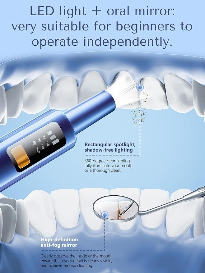 Ultrasonic Plaque Remover for Teeth with Smart Gum Protection - 42kHz Professional Tartar Remover, 10-Piece Kit (4 Heads + 6 Dentist Tools), LED Light, USB-C Rechargeable, IPX6 Waterproof for Home Use