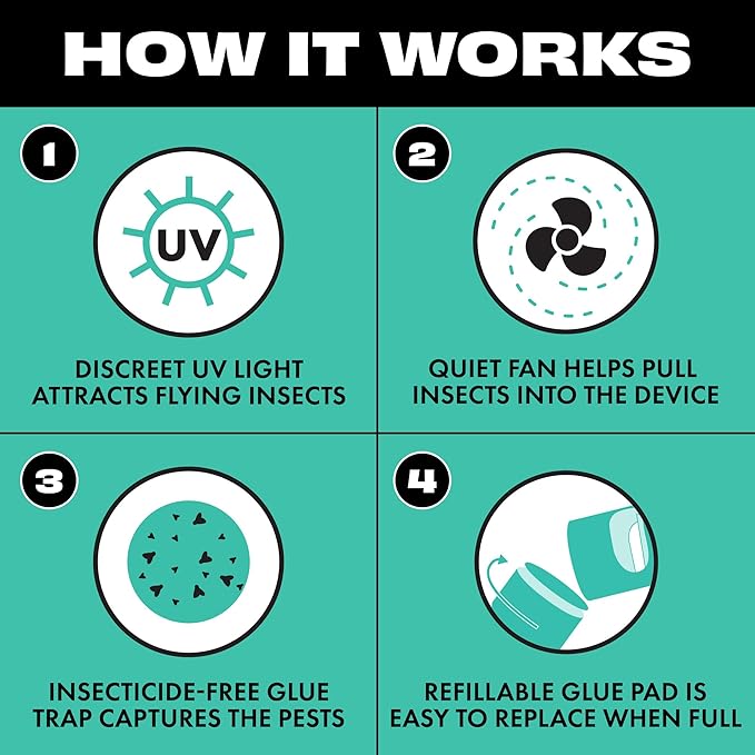 STEM Flying Insect Fan Trap for Indoor Bug Control, Attracts Mosquitoes, Fruit Flies, and House Flies, Plug-in Fan with UV Light, Starter Kit Includes 2 Device and 10 Glue Traps