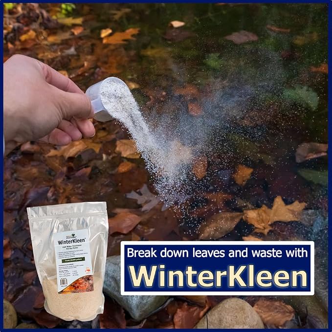 WinterKleen Fall & Winter Bacteria for Ponds | Koi Pond Winterizer, Leaf Digester, Natural Cleaner - Powerful Concentrated Enzymes and Microbes Clean Pond Water