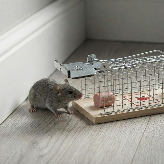 12 Pack Small Humane Mouse Trap, 6 x 2.4 x 2.8 Inch, No Kill, Catch and Release, Reusable Live Mouse Trap, Indoor Outdoor Rat Cage for Small Live Rodent Chipmunk Squirrel Mole Safe Control
