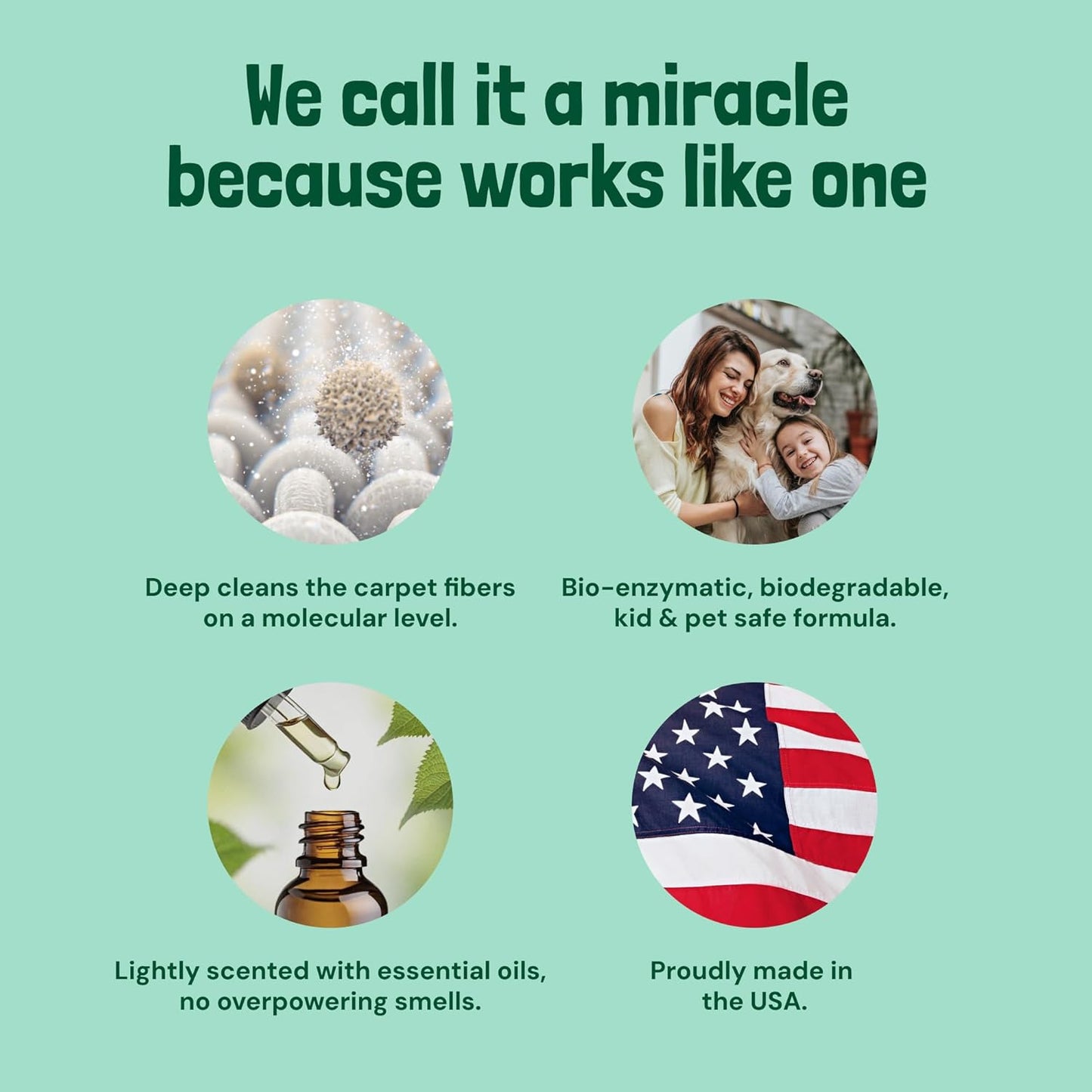 Sunny & Honey Carpet Shampoo & Cleaning Solution - 32 Fl Oz Spring Mint Scent - Pet Carpet Cleaner Machine Solution - Rug & Upholstery Cleaner - Stain Remover & Odor Deodorizer