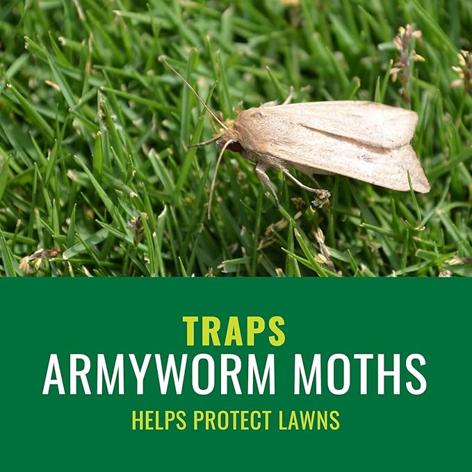 NATRIA Armyworm Pheromone Trap, Ready-to-Use, (1-Pack) with BioAdvanced 12 Month Tree and Shrub Protect and Feed for Insects, Granules, 10 lb