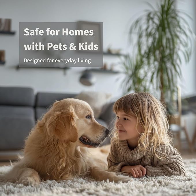 Lapew Winter Carpet Deodorizer Powder - Pet Safe Freshener for Vacuuming | Scented Odor Eliminator for Home | 16 oz