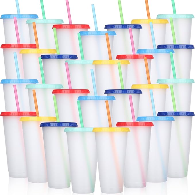 Honeydak 30 Pack Tumbler with Straw and Lid Bulk Cups for Gifts Water Bottle Iced Coffee Travel Mug Cup Reusable Plastic Tumblers for Party Birthdays 24-27 oz (Stylish Color)