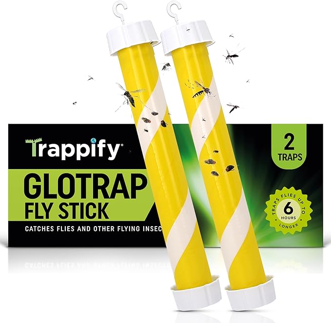 Glow-in-The-Dark Flies Stick by Trappify: Indoor & Outdoor Flying Insect Trap | Water-Resistant Sticky Traps for Fruit Fly Traps for Indoors and Fly Trap Indoor (2 Pack)