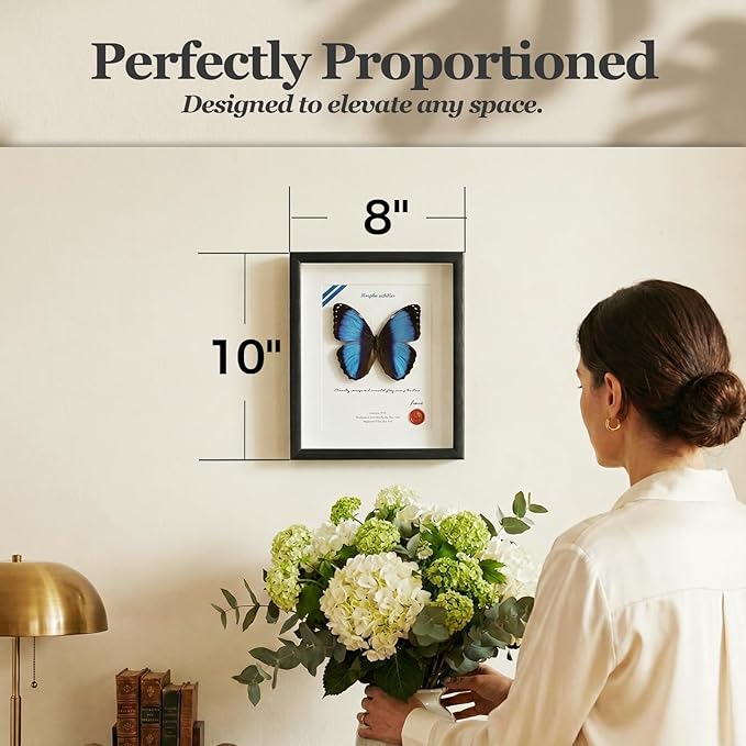 ArsVenciik Real Framed Butterfly Specimen - Preserved Morpho achilles (Blue Banded Morpho Butterfly) Taxidermy - Striking Black & Blue Contrast Shadow Box Wall Art - Handmade Entomology Gift for Office or Home Decor