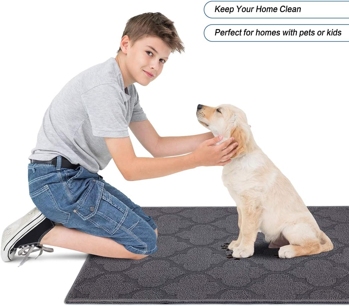 FONEYI Indoor Door Mat, Entrance Rug 24" x 36" Non-Slip Rubber Backing, Machine Washable Entry Rug, Low Profile Absorbent Dirt Trapper Doormat Inside Floor Mats for Entryway, Grey