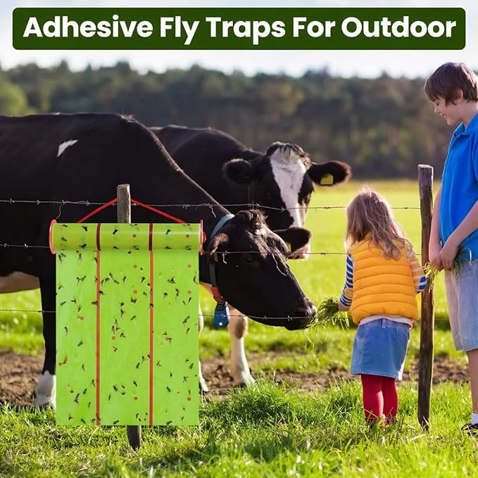 Qualirey Giant Sticky Fly Traps, Fly Strips for Indoor Outdoor Hanging Flying Tapes Non Toxic Ribbon Fruit Gnat Killer for Mosquito Plants House Horse Stable(30 ft,Fluorescent Green,5 Pcs)