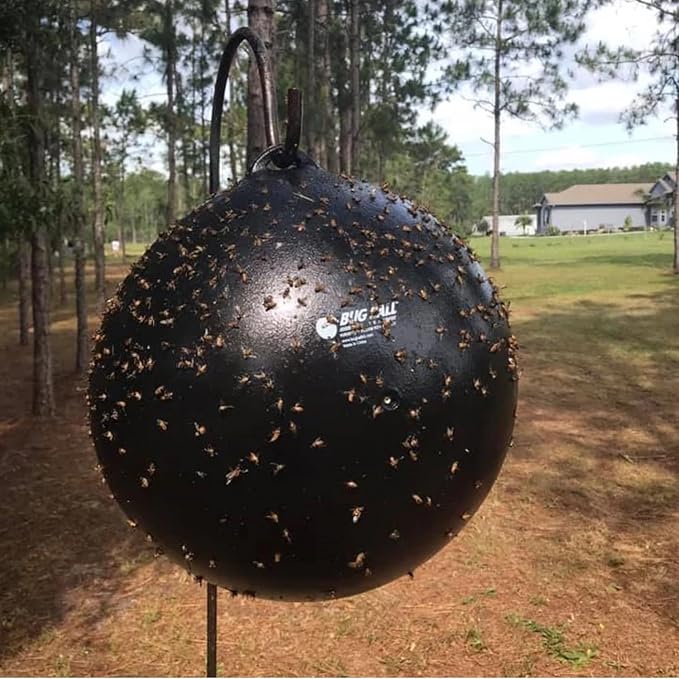 Bug Ball Starter Kit - Biting Fly and Insect Trap, Pack of 3