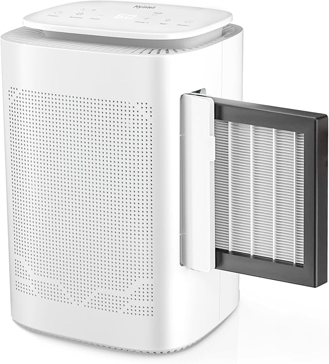 Dehumidifier and Air Purifier Combo HEPA H13 Filter and Negative Air Ion Function,54oz(1600ML) Water Tank with Drain Hose,24hrs Auto-Off Timer,Idea for Bedroom,Bathroom(W)