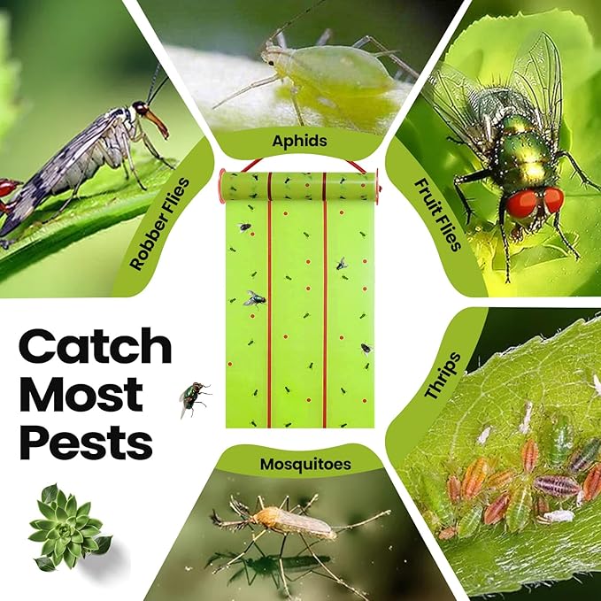 Qualirey Giant Sticky Fly Traps, Fly Strips for Indoor Outdoor Hanging Flying Tapes Non Toxic Ribbon Fruit Gnat Killer for Mosquito Plants House Horse Stable(30 ft,Fluorescent Green,5 Pcs)