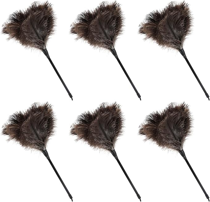 Natural Ostrich Feather Duster 14.9 inch Fluffy Mini Dusters with Plastic Handheld for Cleaning Car Keyboard Office 6 PCS