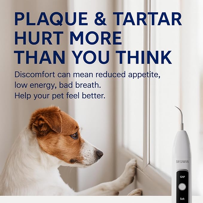 SIRGAWAIN Pet Ultrasonic Dental Cleaner — Plaque, Tartar & Stains Remover, 4 Tips, 3 Modes, LED, Contact-Activated & Smart Touch Protection, Complete Cleaning Kit for Dogs & Cats