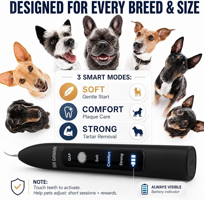 SIRGAWAIN Pet Ultrasonic Dental Cleaner — Plaque, Tartar & Stains Remover, 4 Tips, 3 Modes, LED, Contact-Activated & Smart Touch Protection, Complete Cleaning Kit for Dogs & Cats (Black)