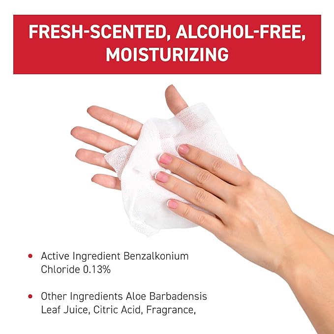 WipeEssentials Hand Sanitizer Wipes for Adults & Kids - 360 Count, 12 Packs | Alcohol-Free, Moisturizing Sanitizing Wipes with Aloe Vera & Vitamin E - Unscented & Travel Size With No Soapy Residue