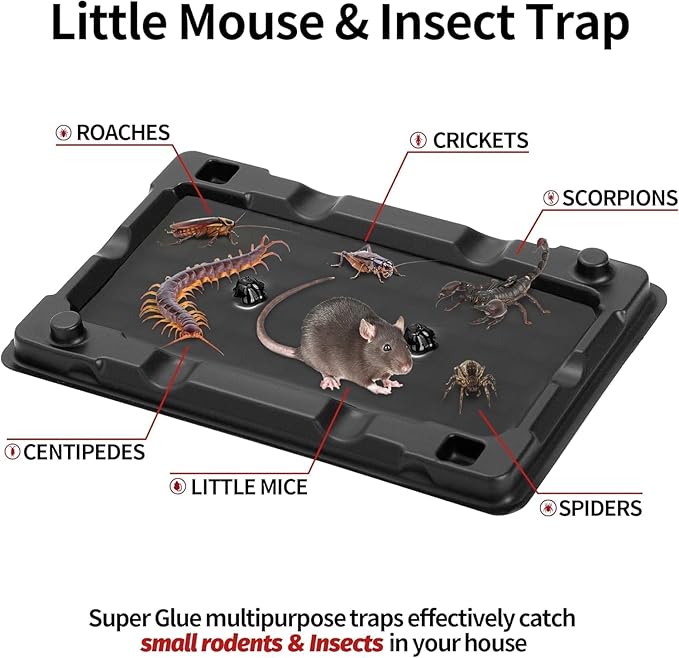 LULUCATCH Mouse & Insect Traps 16 Pack, Heavier Sticky Traps with Non-Toxic Glue for Small Mice & Insects. Sticky Mouse Traps Indoor for Home, Easy to Set