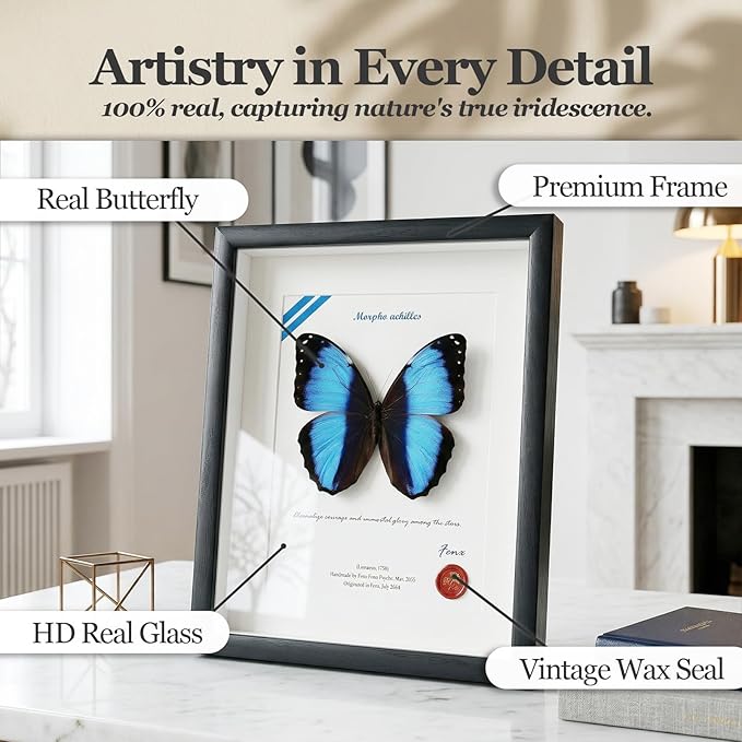 ArsVenciik Real Framed Butterfly Specimen - Preserved Morpho achilles (Blue Banded Morpho Butterfly) Taxidermy - Striking Black & Blue Contrast Shadow Box Wall Art - Handmade Entomology Gift for Office or Home Decor