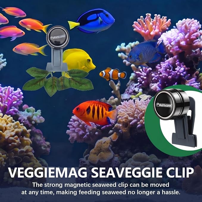 Blulu 2 Pcs Magnetic Seaweed Feeding Clips Saltwater Aquarium Tank Accessories Algae Magnet Seaweed Feeder for Fish and Aquatic Pets, Automatic Fish Feeder
