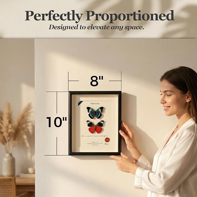 ArsVenciik Real Framed Butterfly Specimen Duo - Preserved Panacea prola (Red Flasher) Taxidermy - Front & Back View Shadow Box - Handmade Entomology Wall Art & Unique Gift for Home Decor