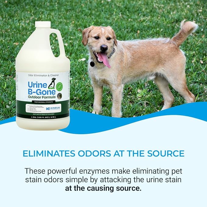 Urine B-Gone-OD Professional Pet Urine Enzyme Cleaner, Pet Yard Odor Eliminator for Artificial Grass, Concrete & More, 1 Gallon